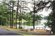 a view of Lake Allatoona from Clark Creek North Campground