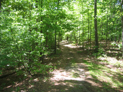 a bartow county park hiking trail